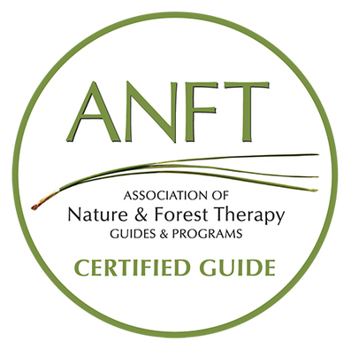 ANFT certified nature and forest therapy guide